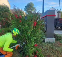 Employee With Flowers