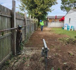 Fence Cleaning