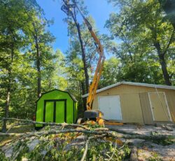 Tree Removal With Crane