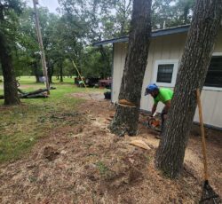 Employee Chainsaw