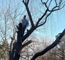 Man In Tree Alt 768x1024.